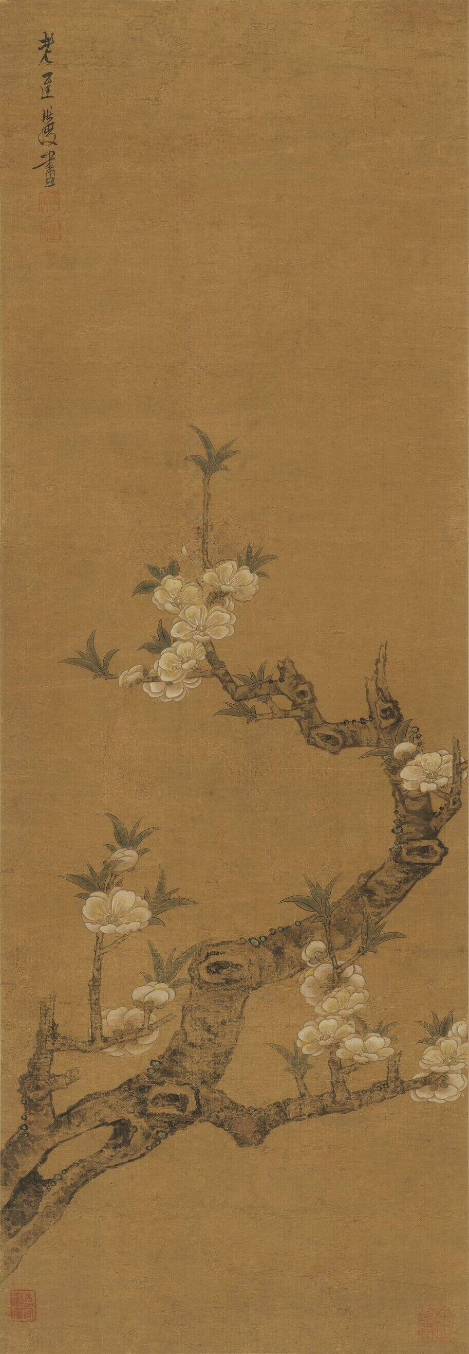 梨花图缩略图