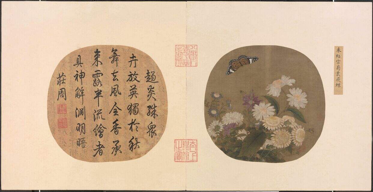菊丛飞蝶图缩略图