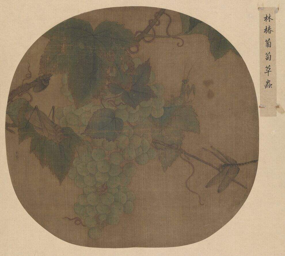 葡萄草虫图缩略图