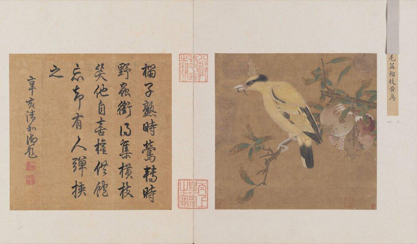 榴枝黄鸟图缩略图