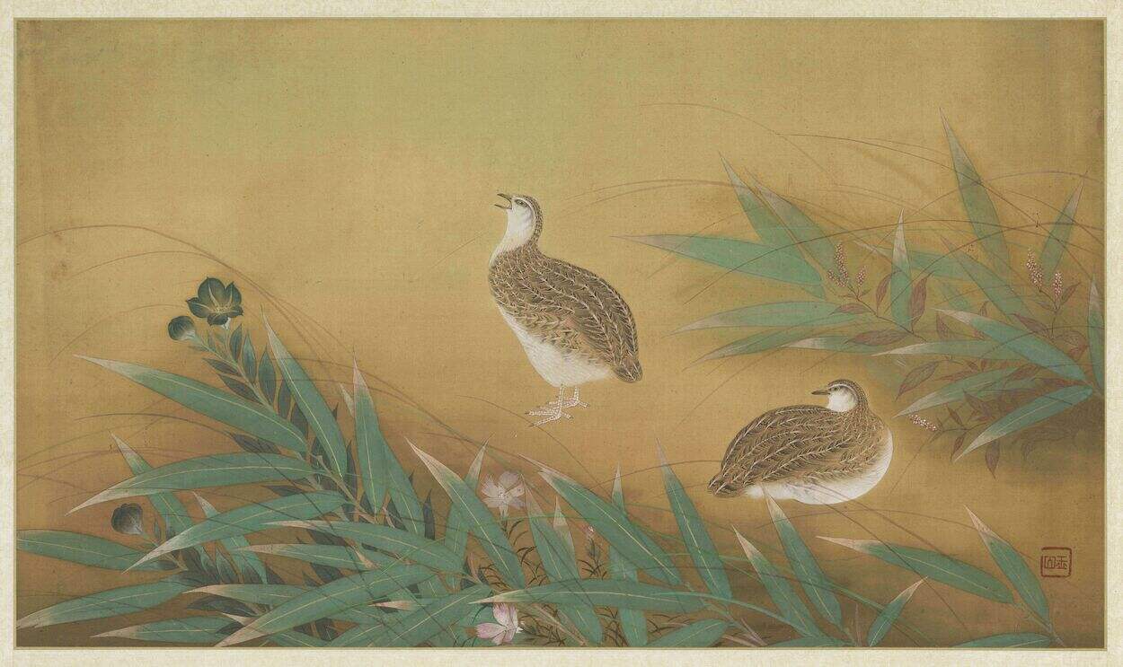 花鸟册缩略图