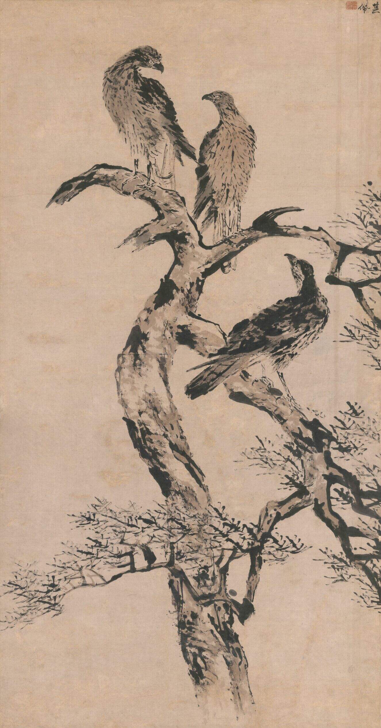 松鹰图缩略图