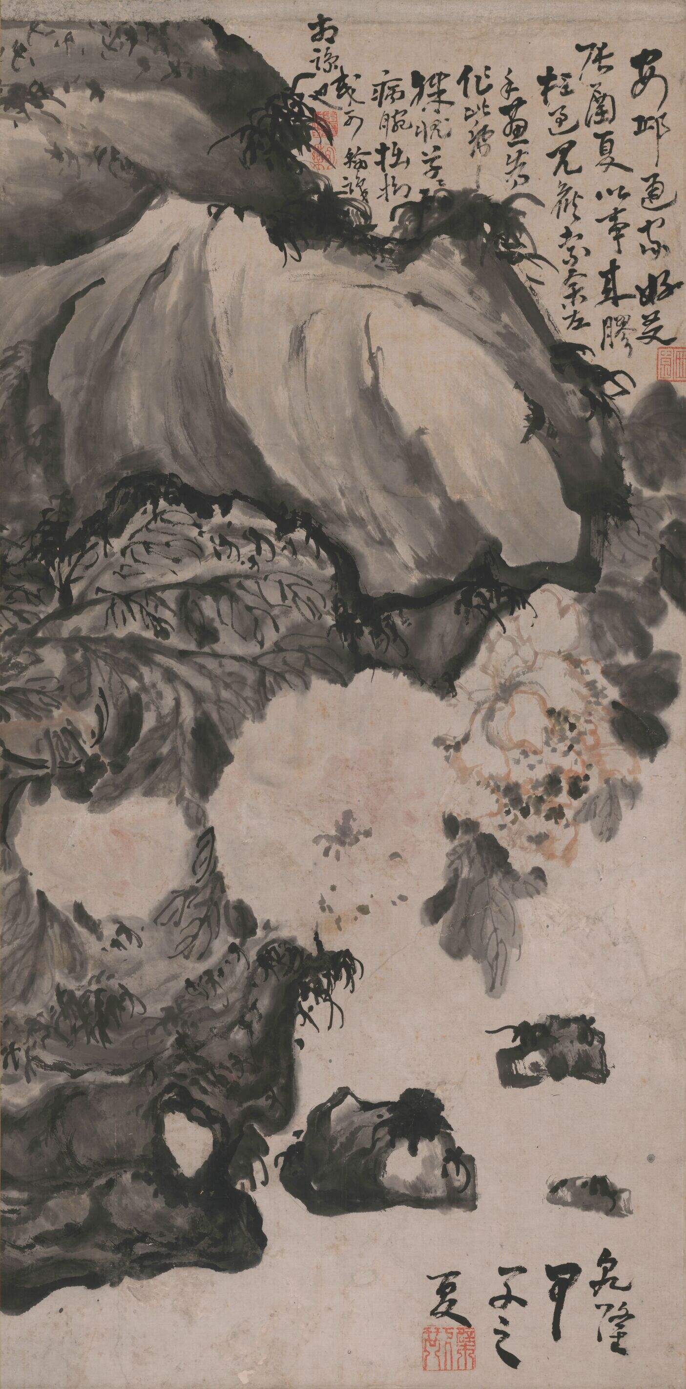 牡丹图缩略图