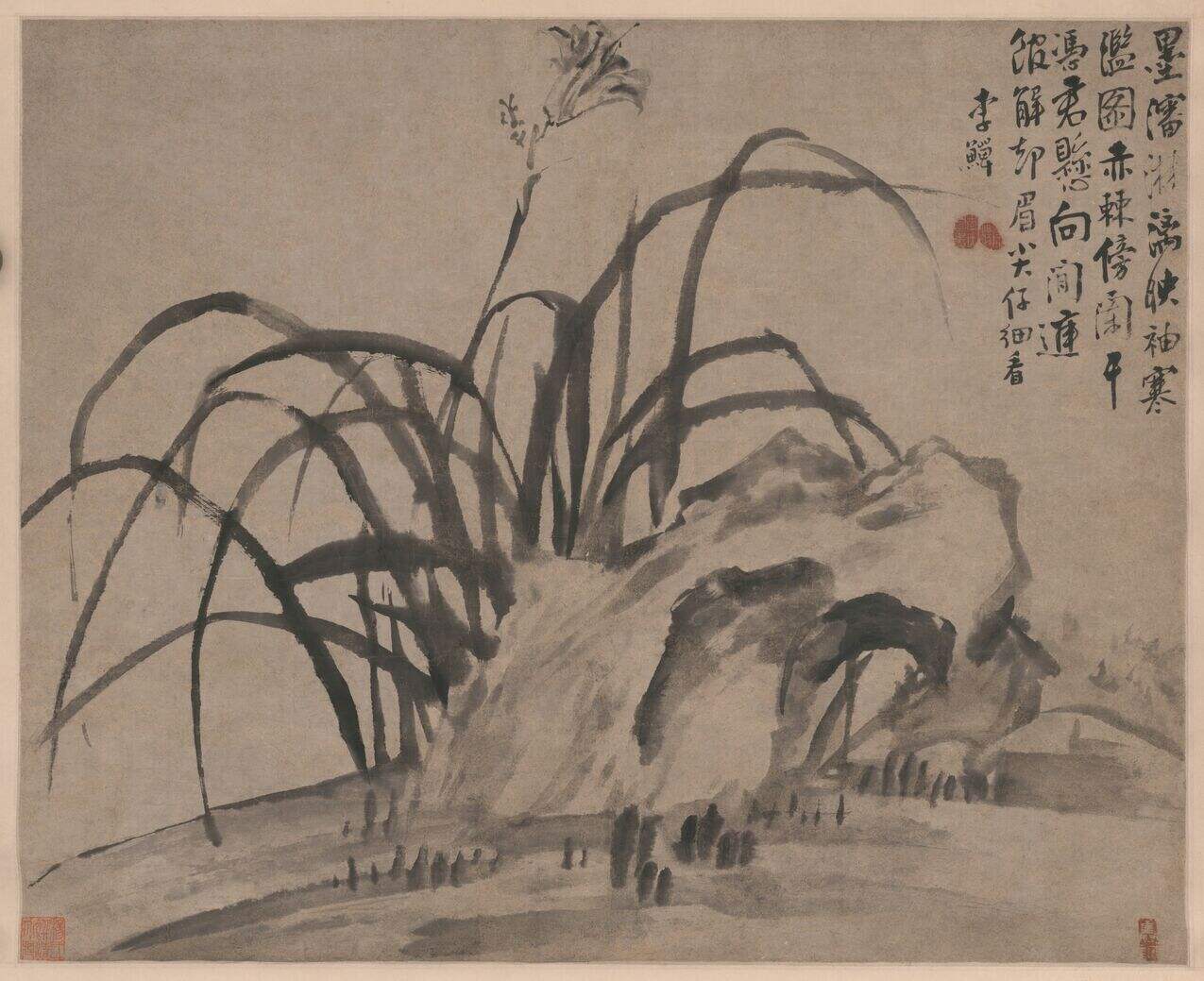 萱石图缩略图