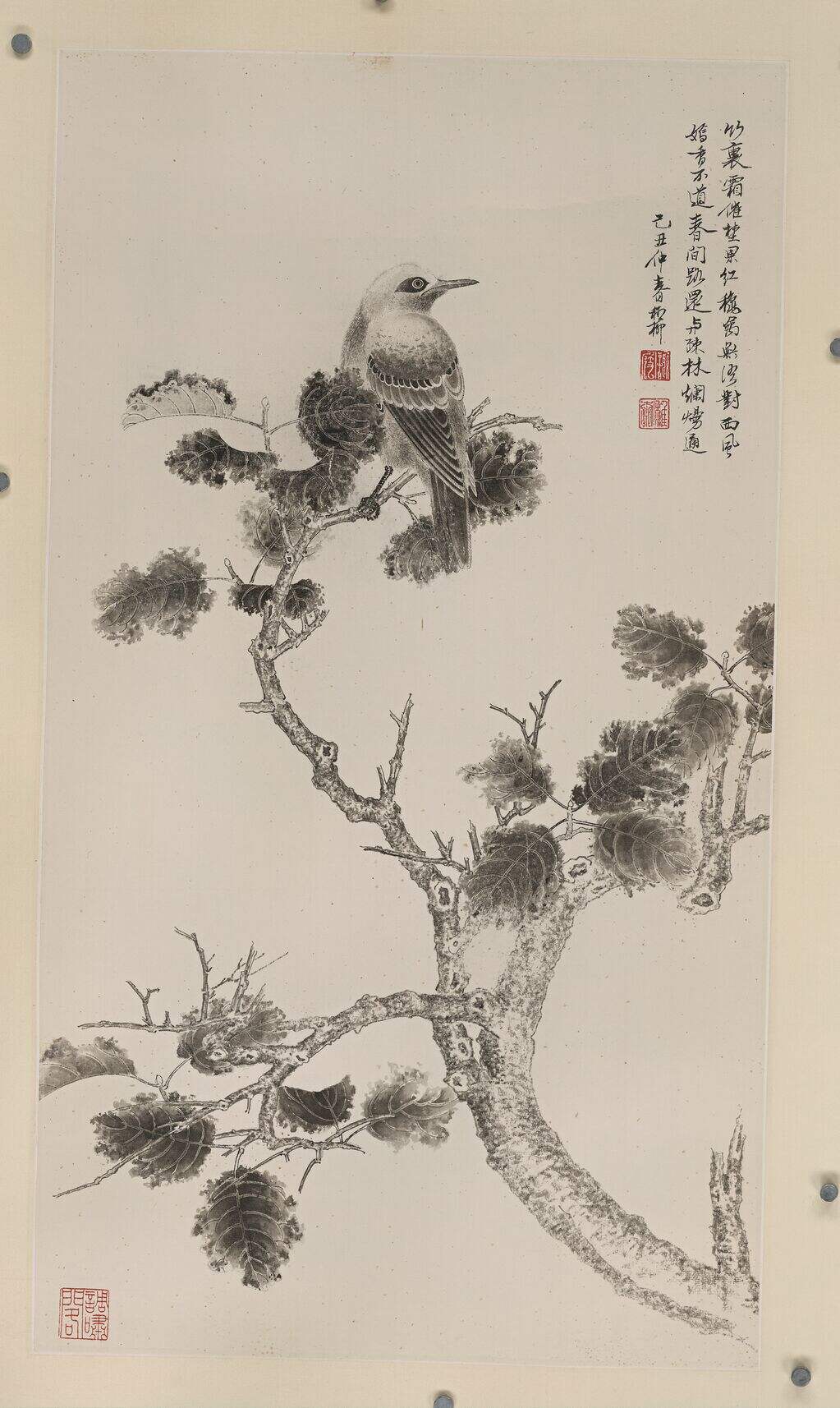 写生之前准备看看的封面
