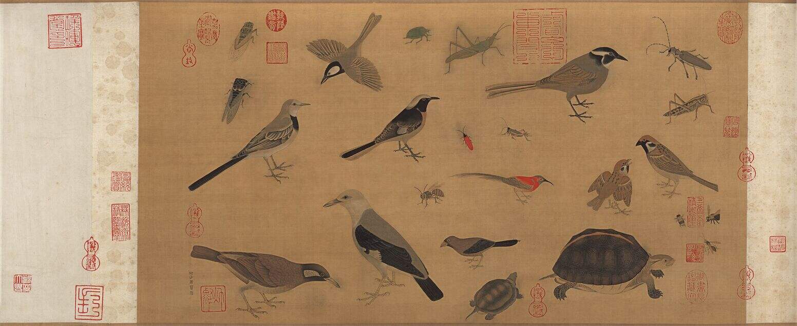 摹黄荃写生珍禽图缩略图