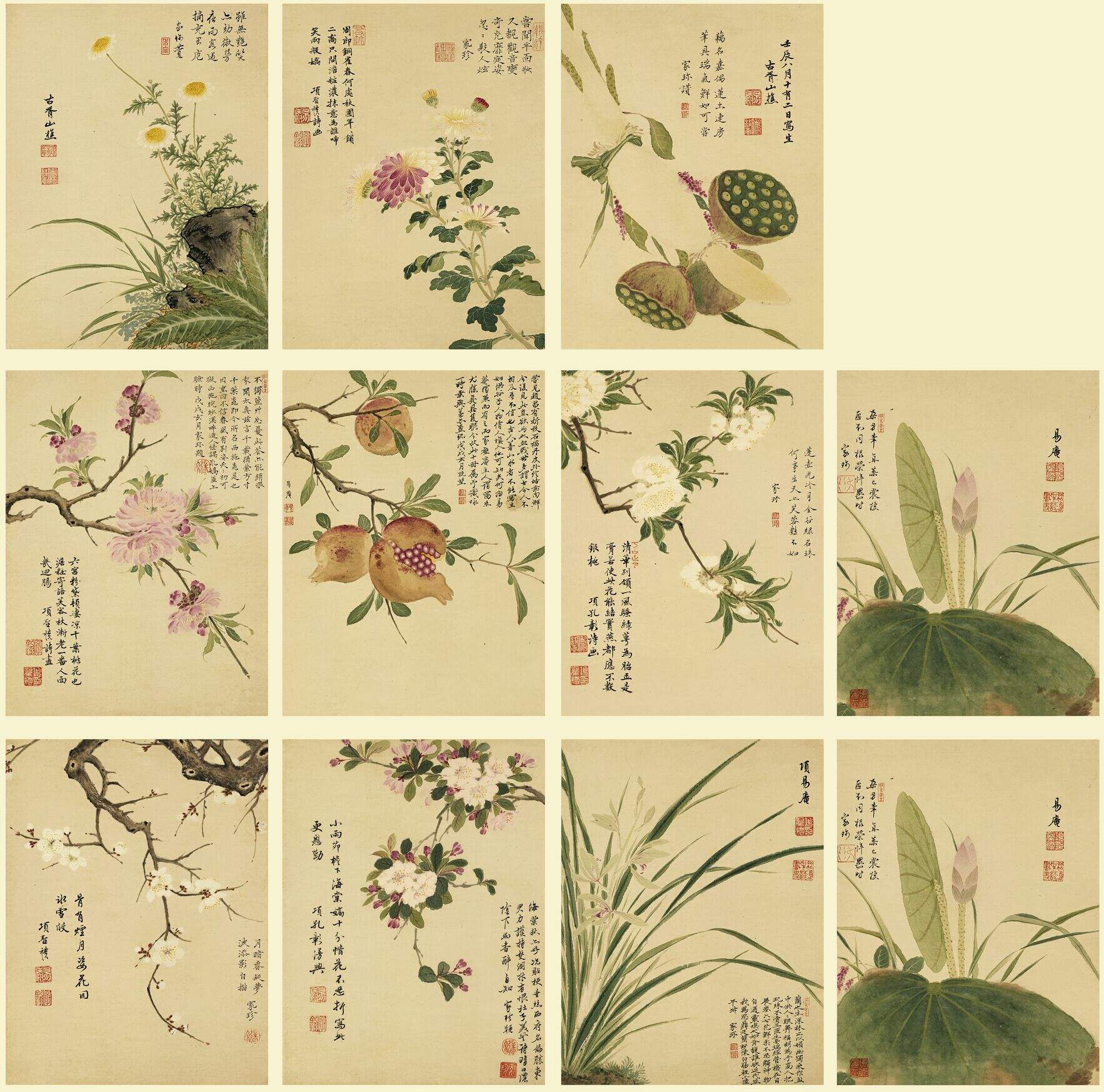 花卉册十开缩略图