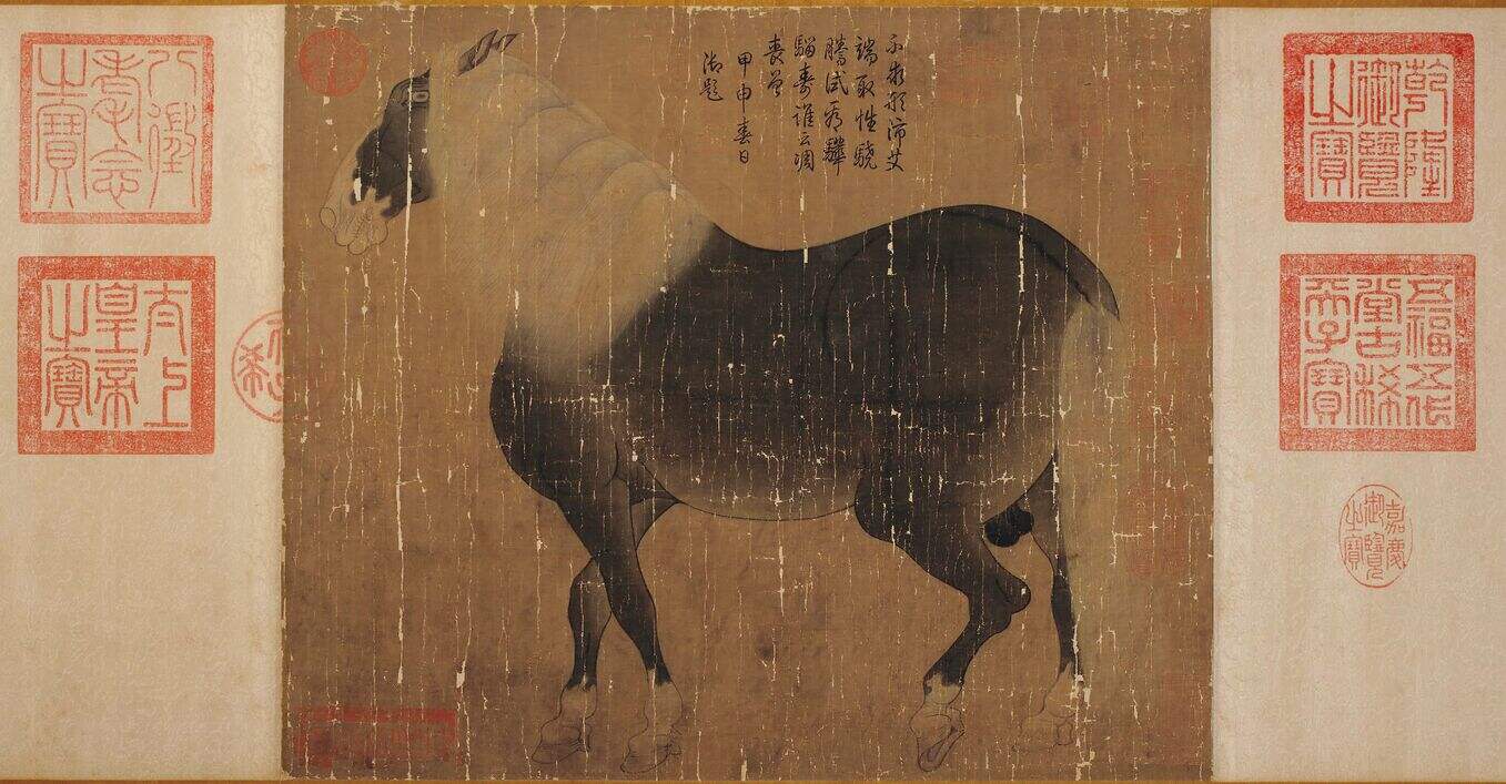 马性图缩略图
