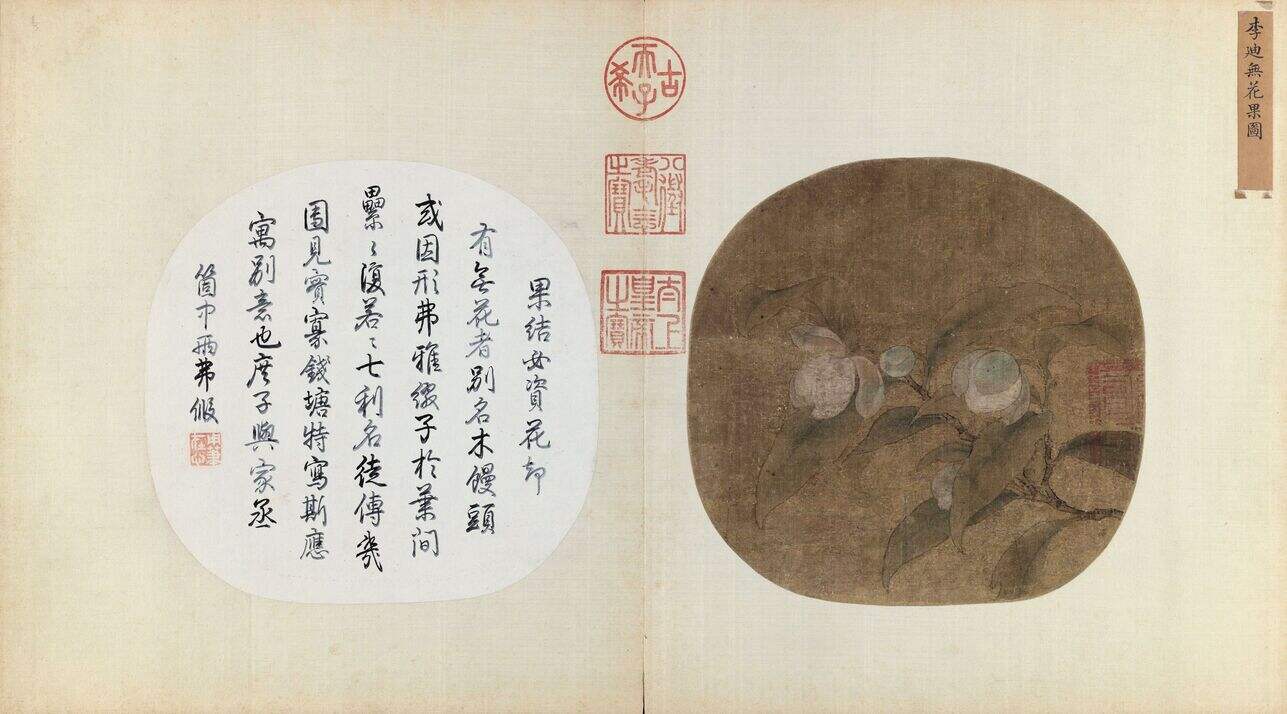无花果图缩略图