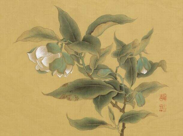 作品封面