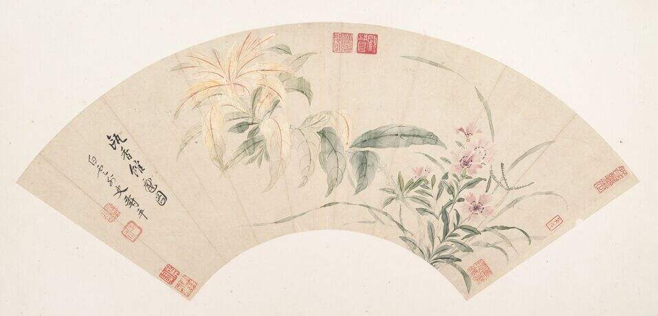 花卉缩略图