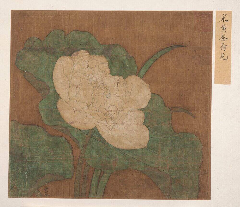 荷花图缩略图