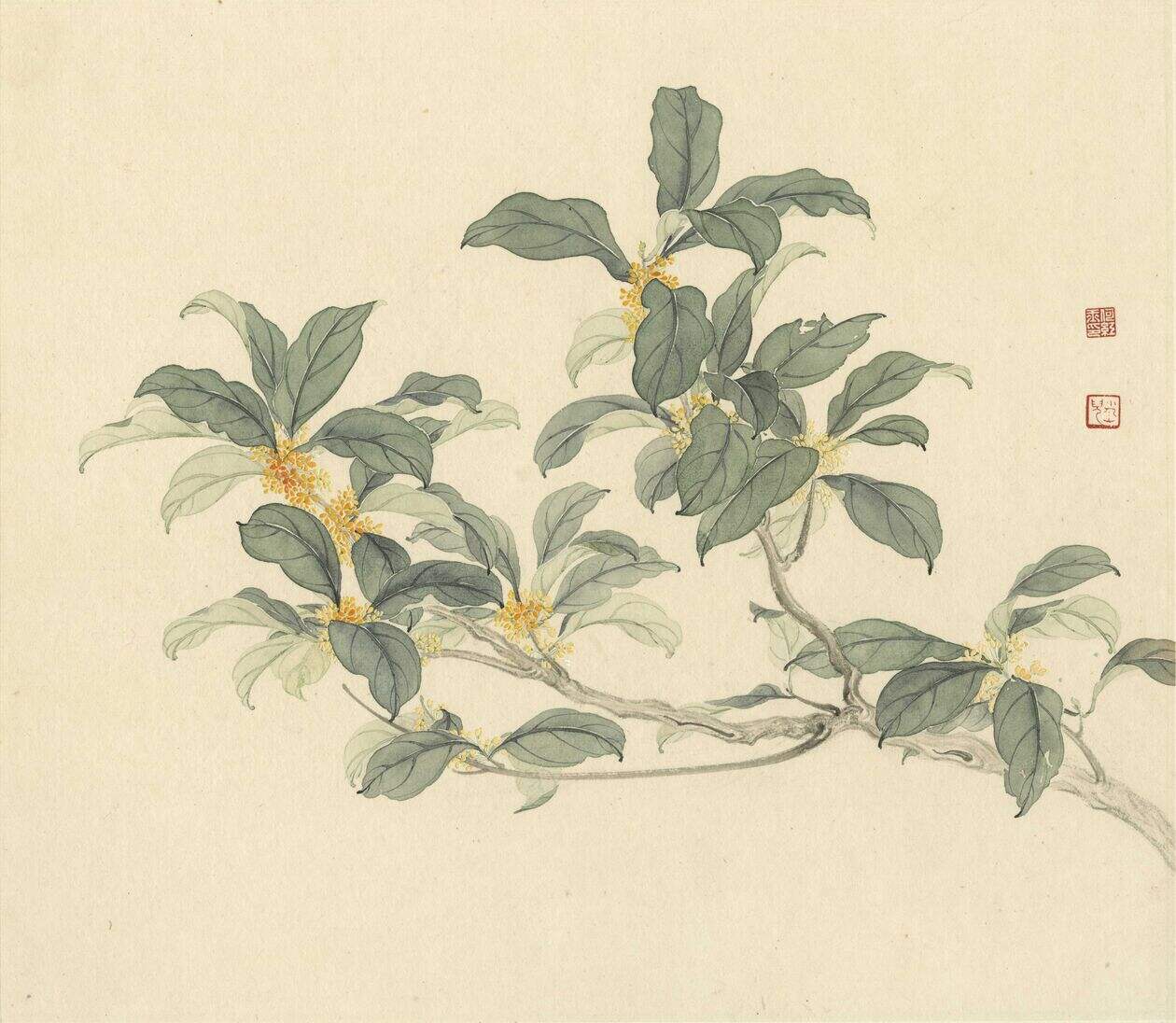 八月桂花香缩略图