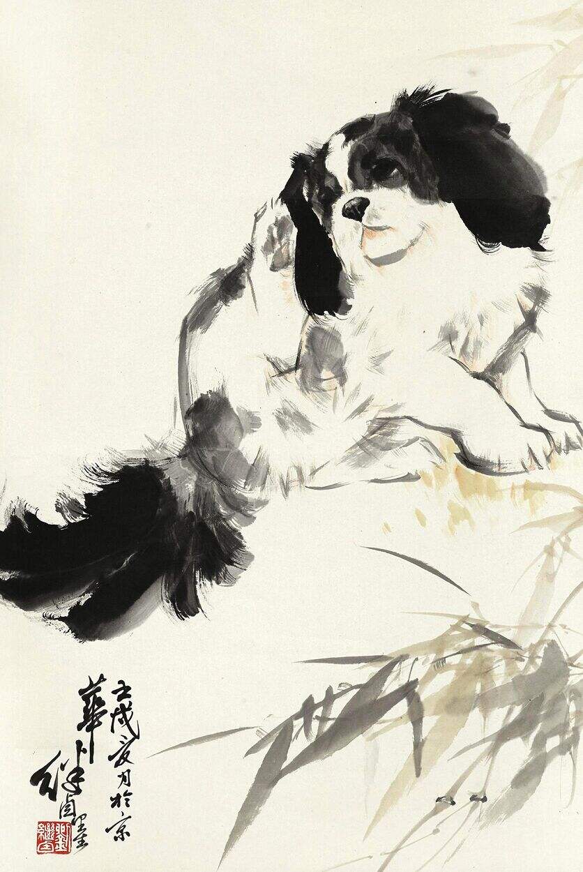 小狗缩略图