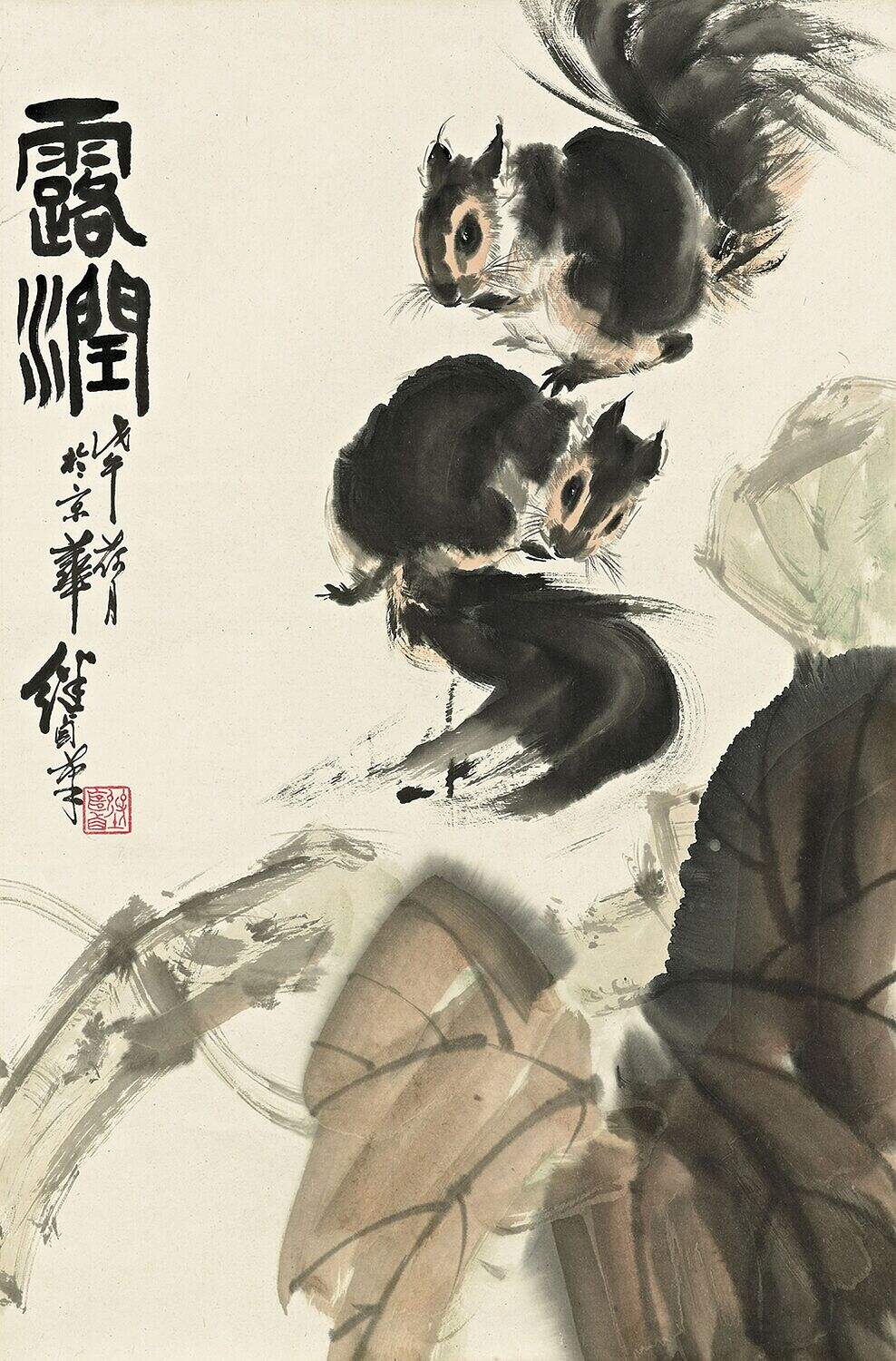 松鼠4缩略图