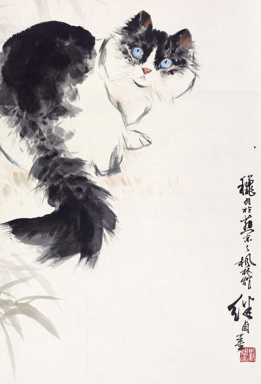 猫1缩略图