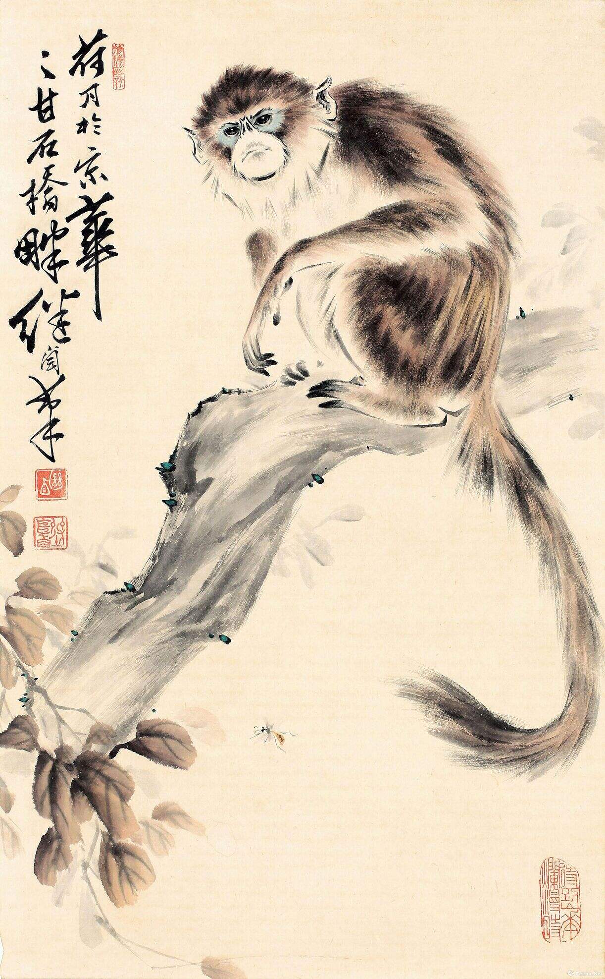 猴4缩略图