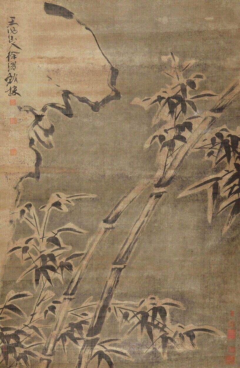 雪竹缩略图