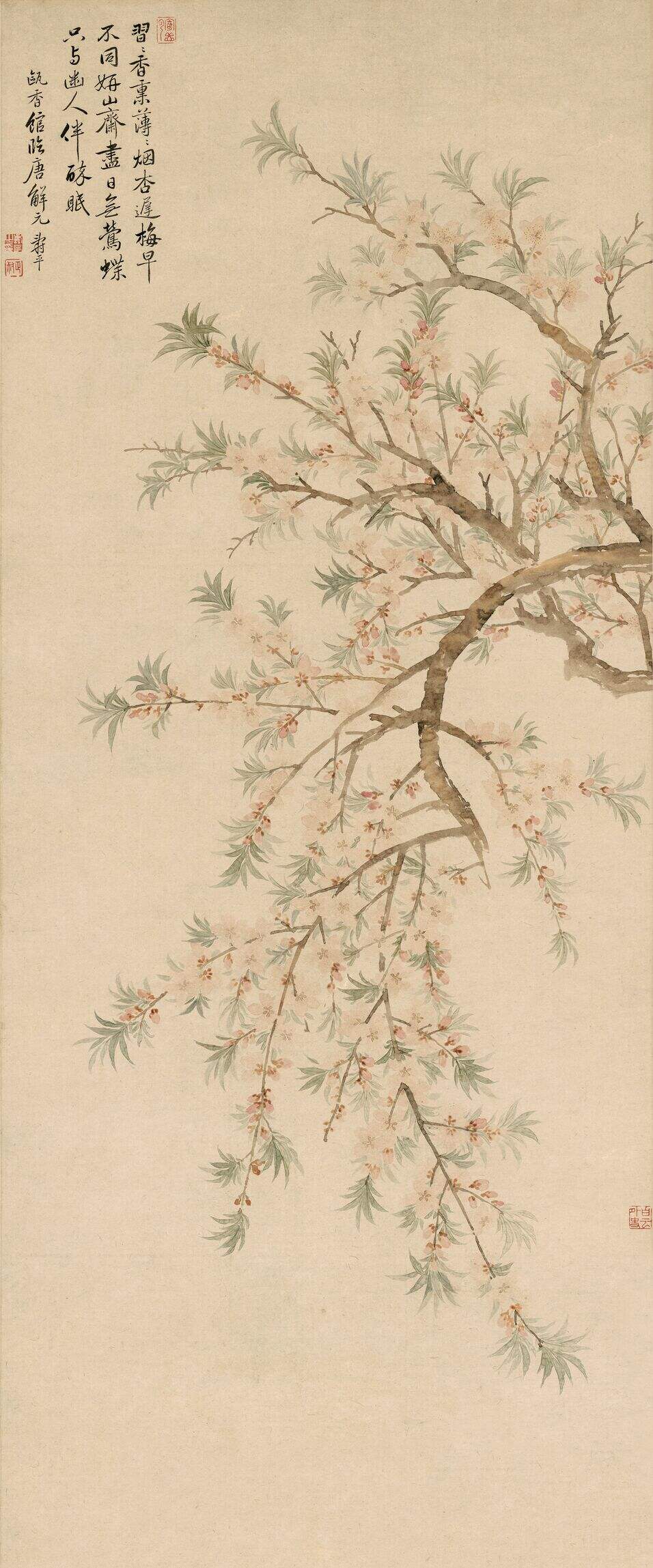 桃花图缩略图