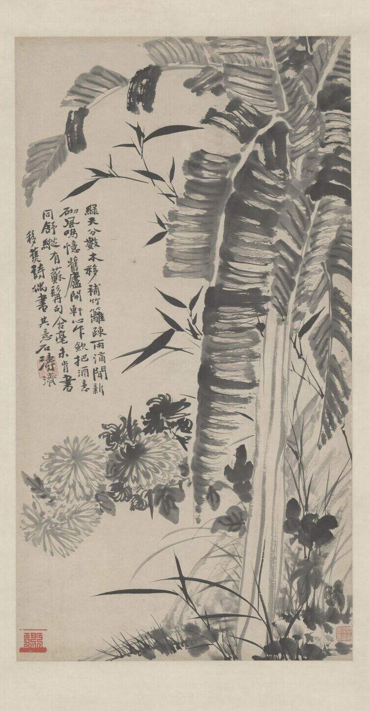 蕉菊图缩略图