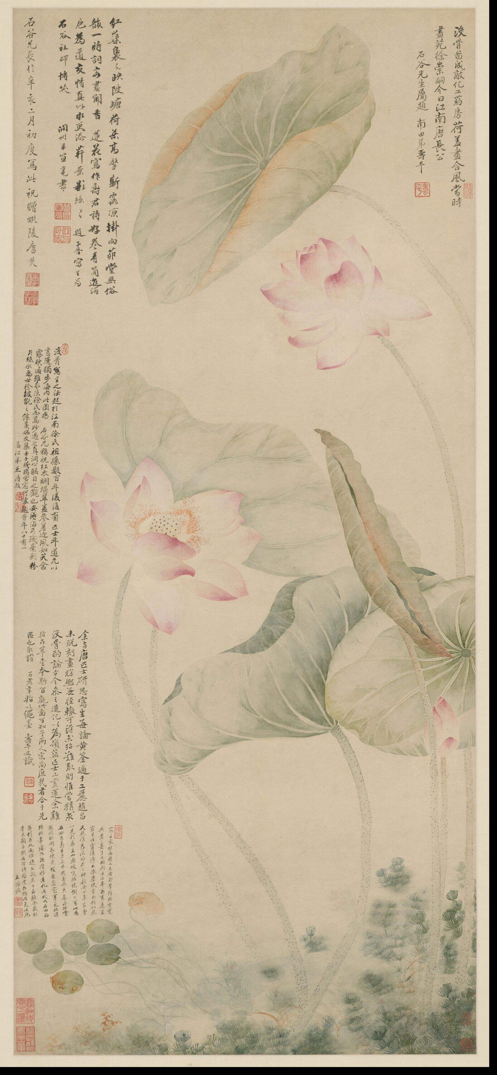 红莲绿藻图缩略图