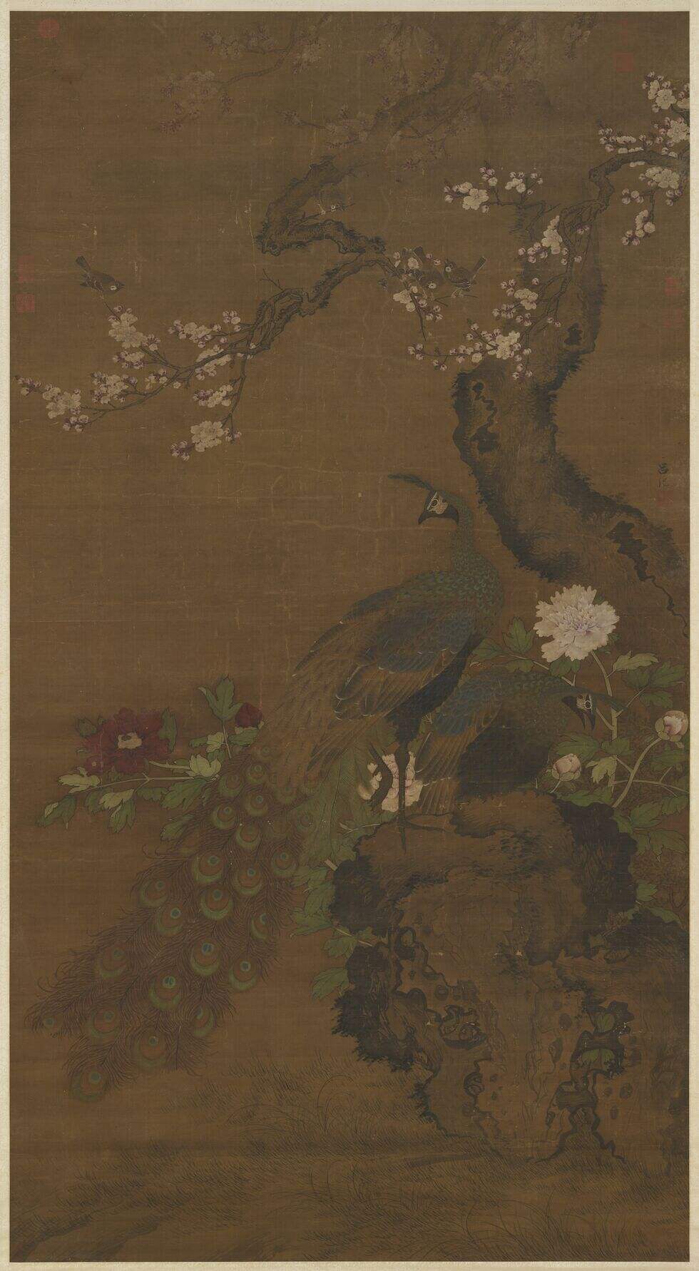 杏花孔雀图缩略图