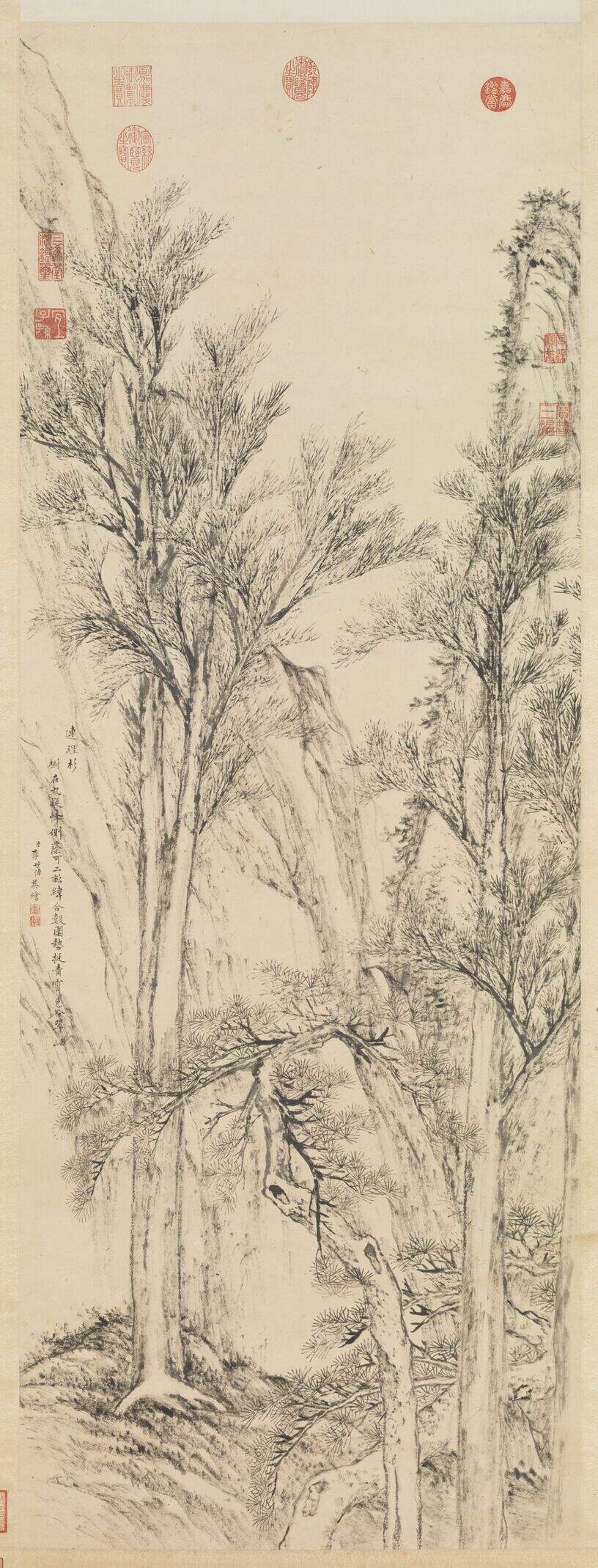 连理杉轴缩略图