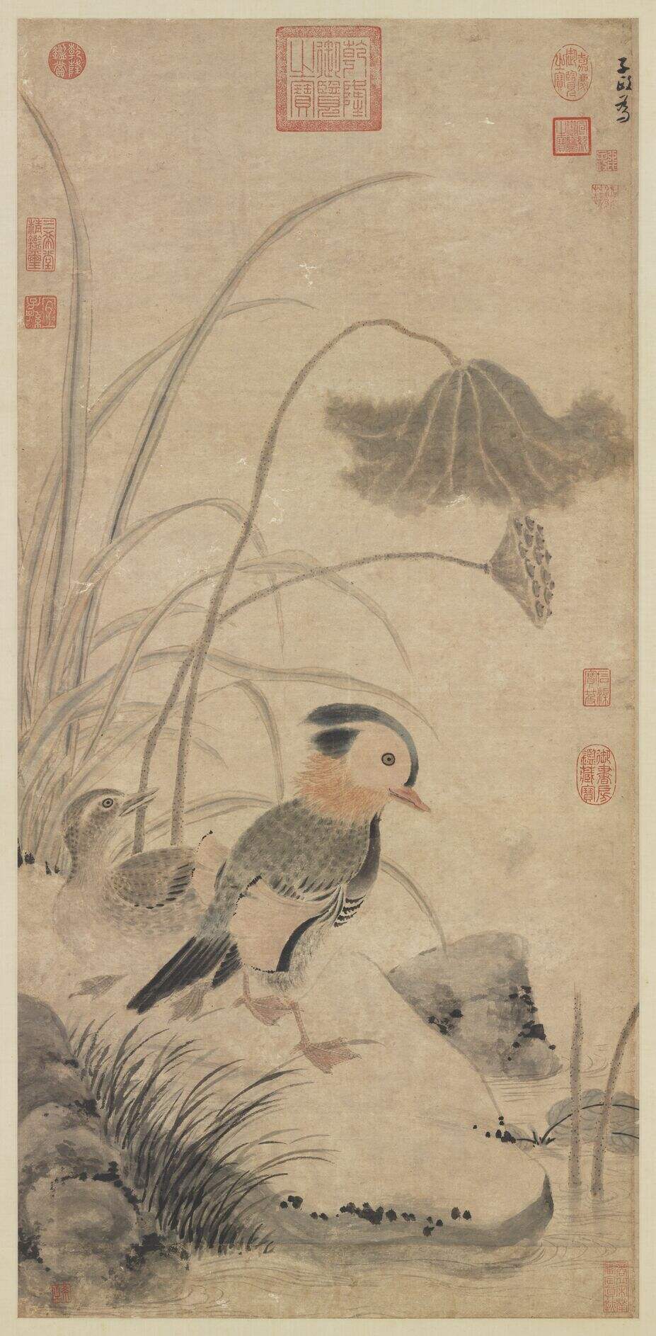 枯荷鸂鶒图缩略图