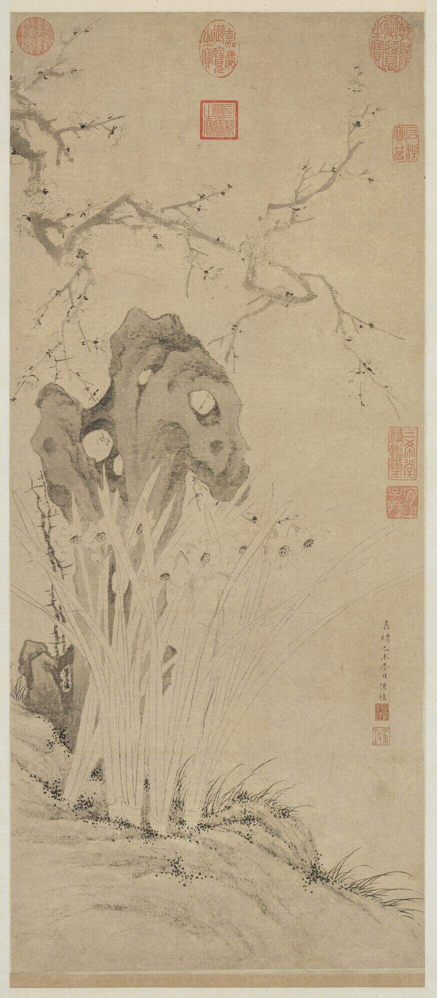 梅花水仙图缩略图