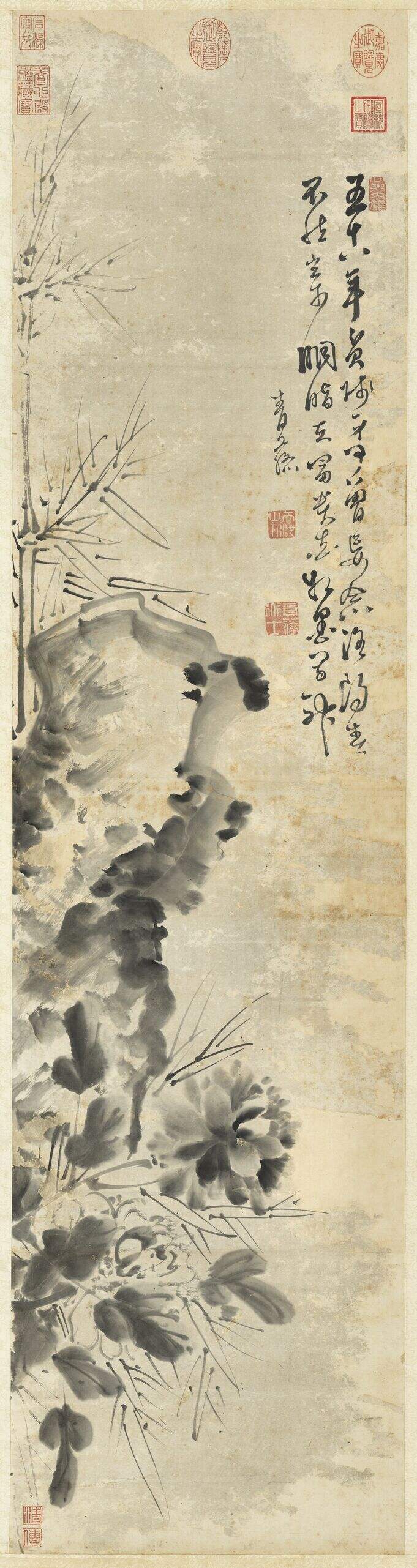 牡丹图缩略图