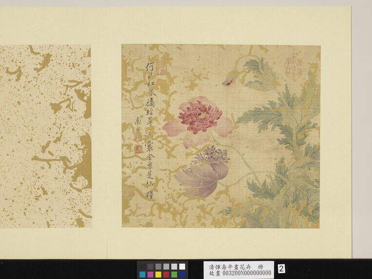 花卉册　罂粟缩略图