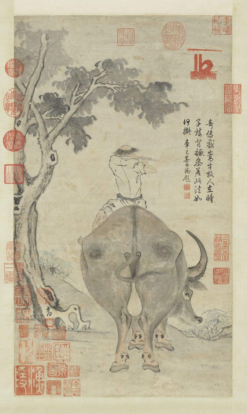 牛图缩略图