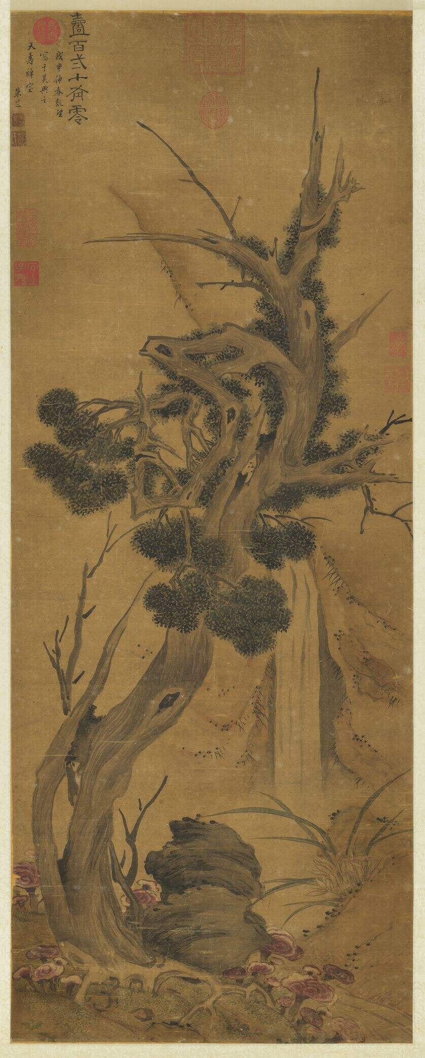 百龄添算图缩略图