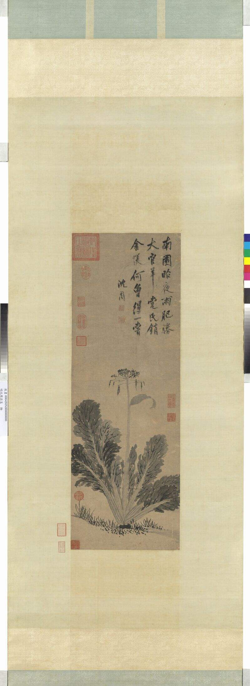 蔬菜图缩略图