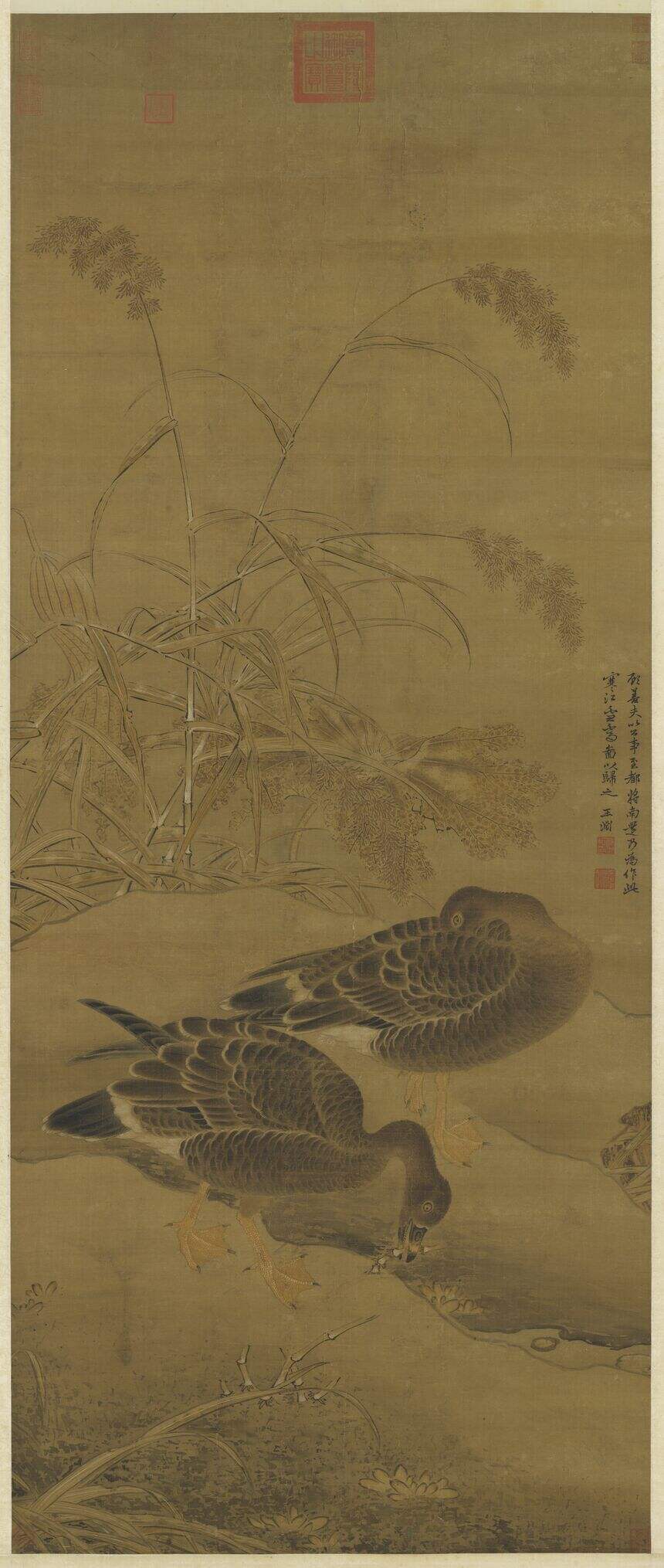 寒江芦雁图缩略图