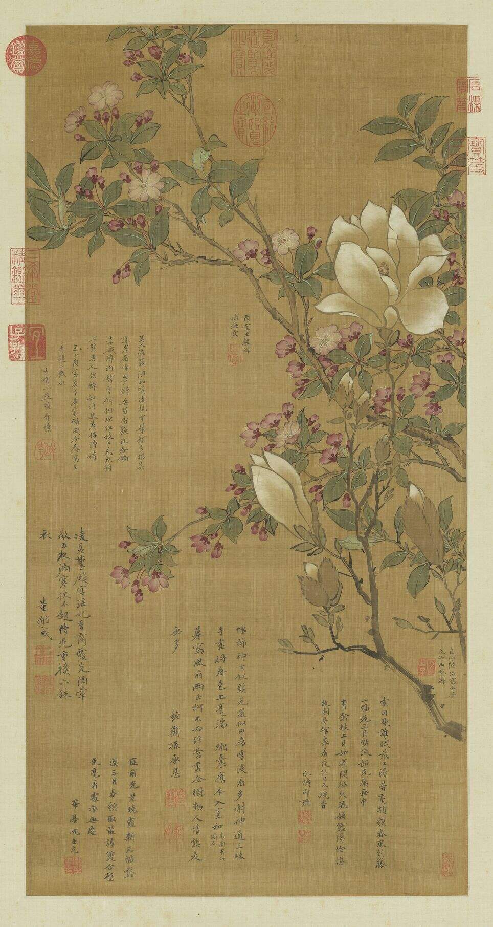 海棠玉兰图缩略图