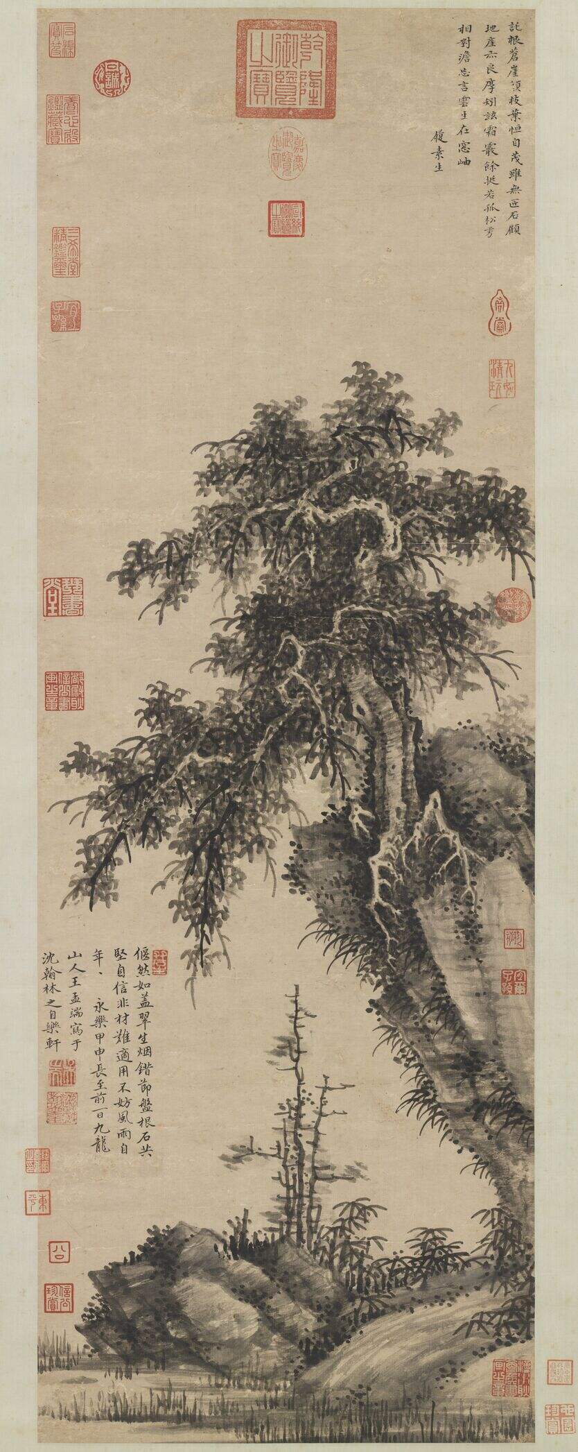 独树图缩略图