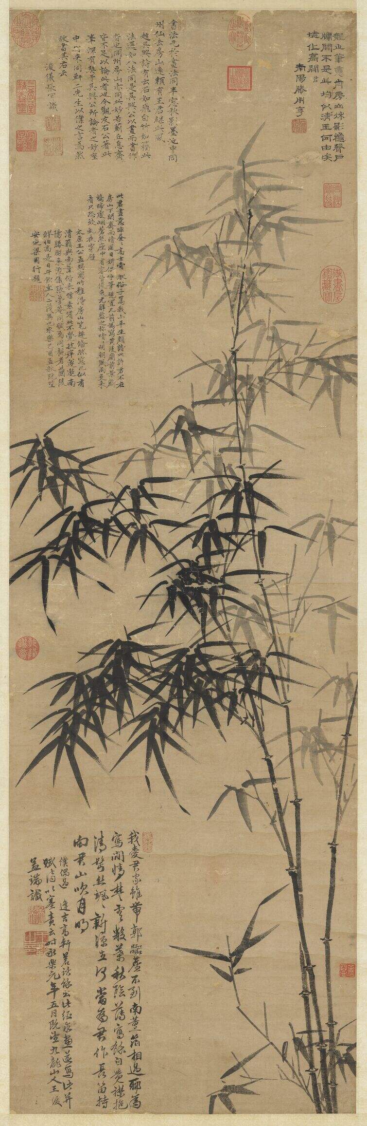 竹图缩略图