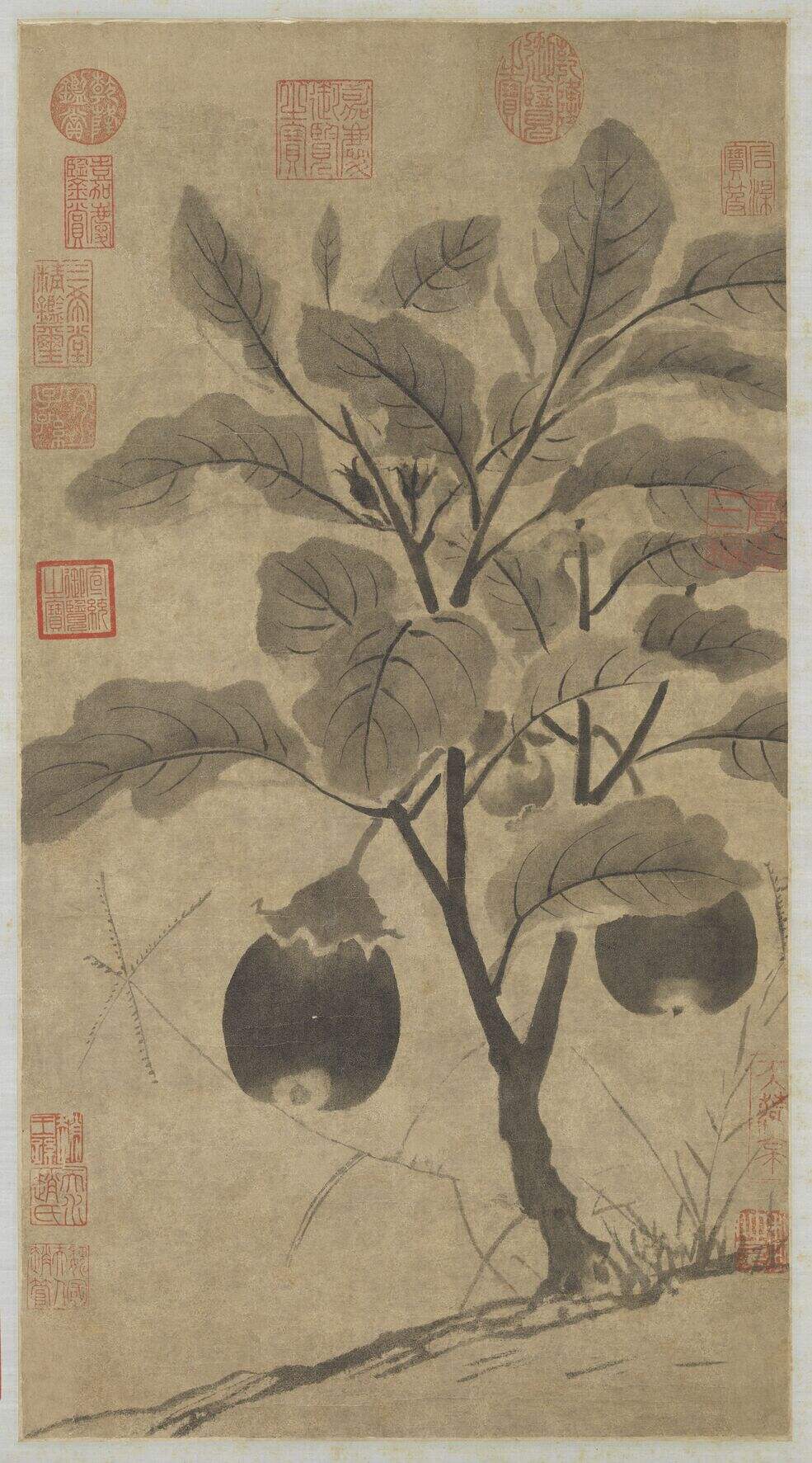 画茄图缩略图