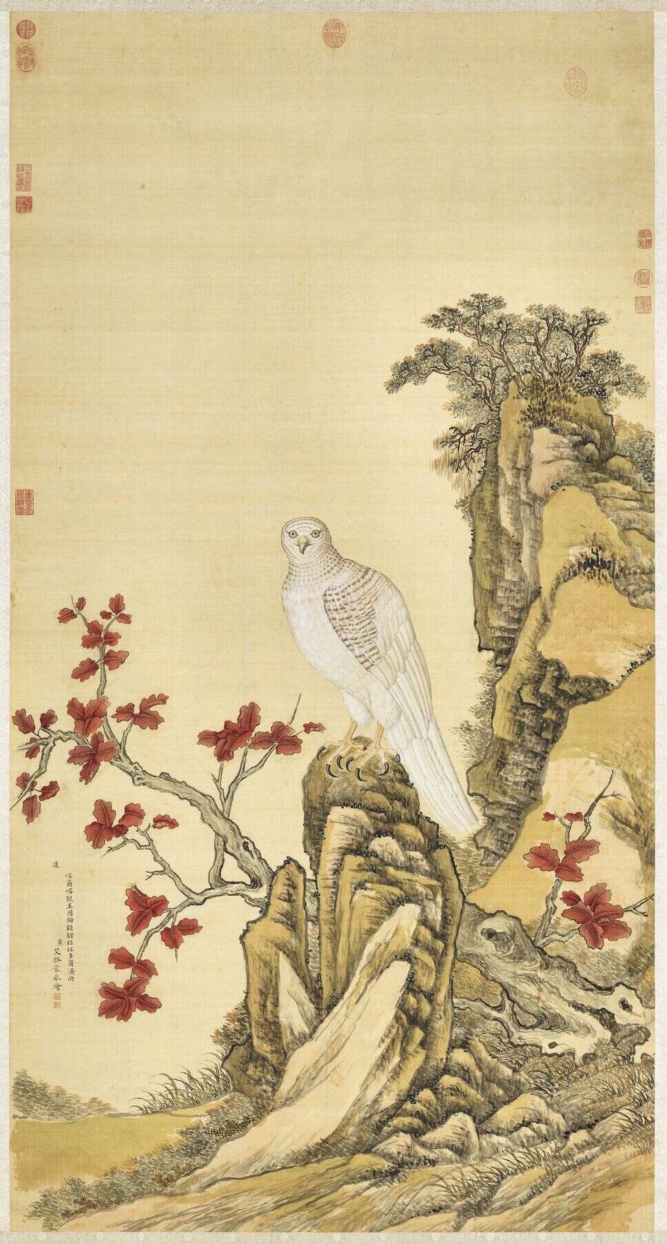 白鹰图缩略图