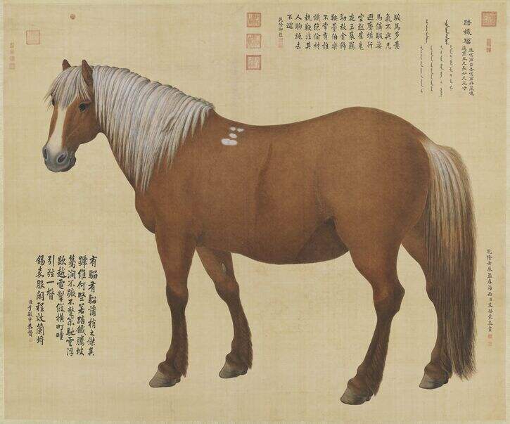 踣铁骝轴缩略图