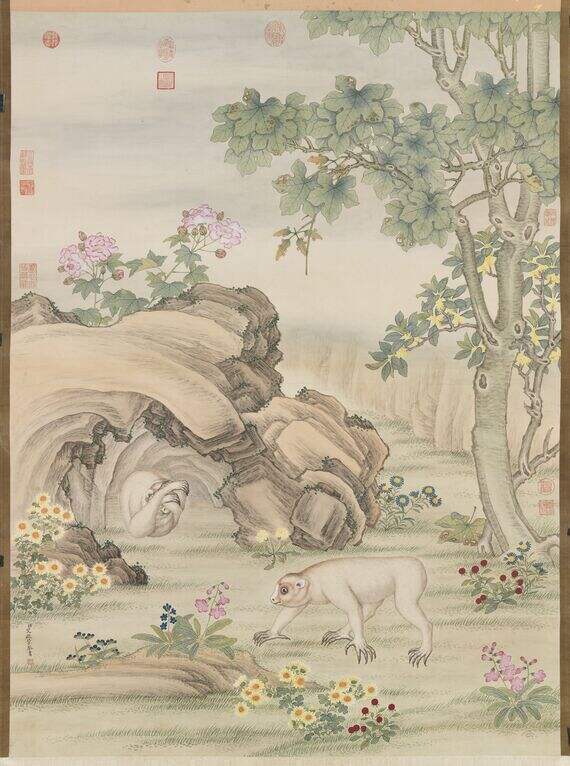 风猩图缩略图