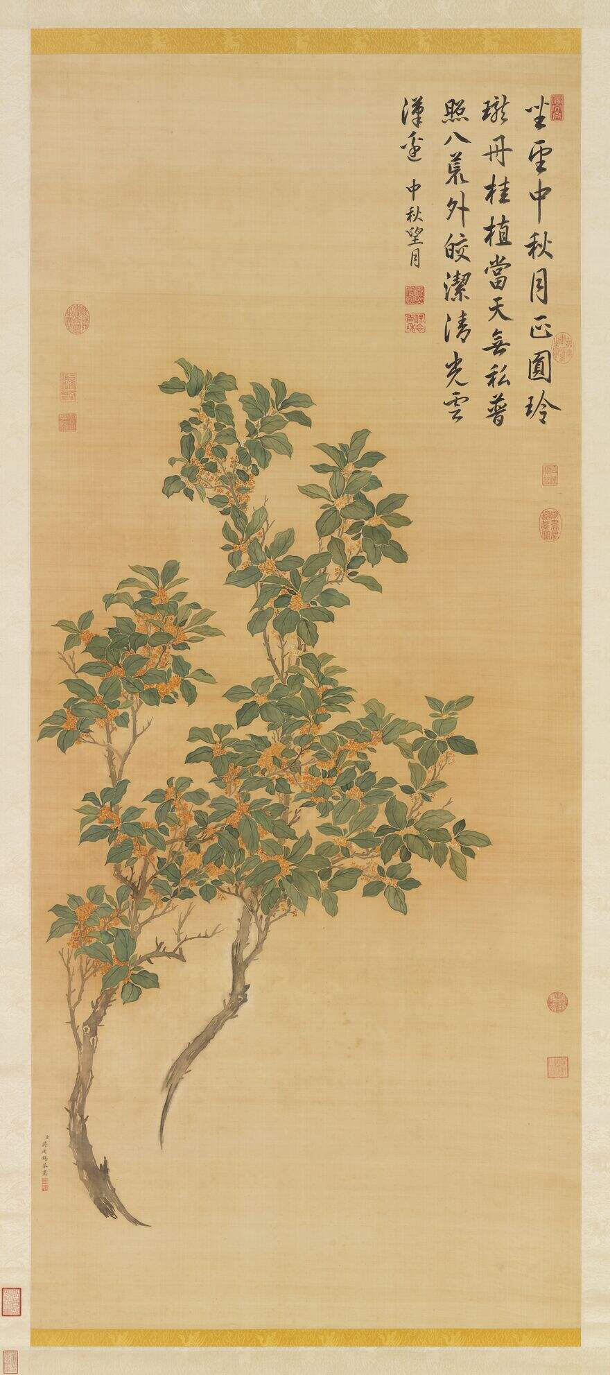 桂花轴缩略图