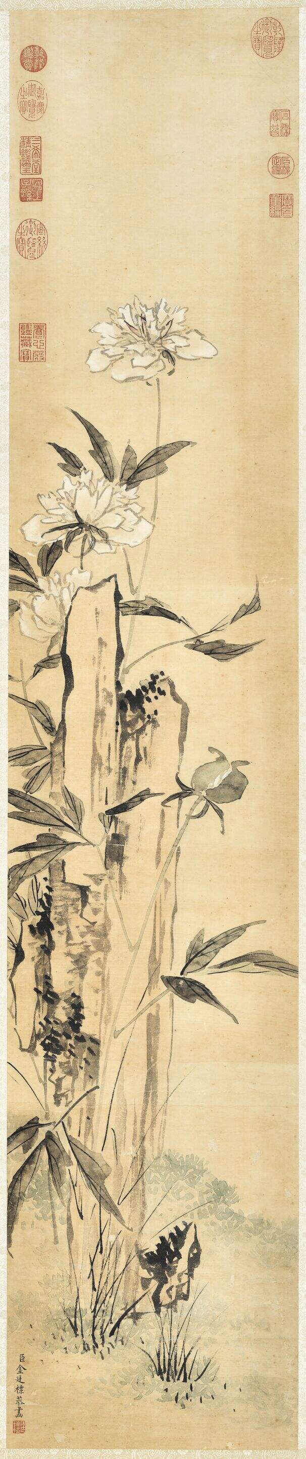 芍药图缩略图