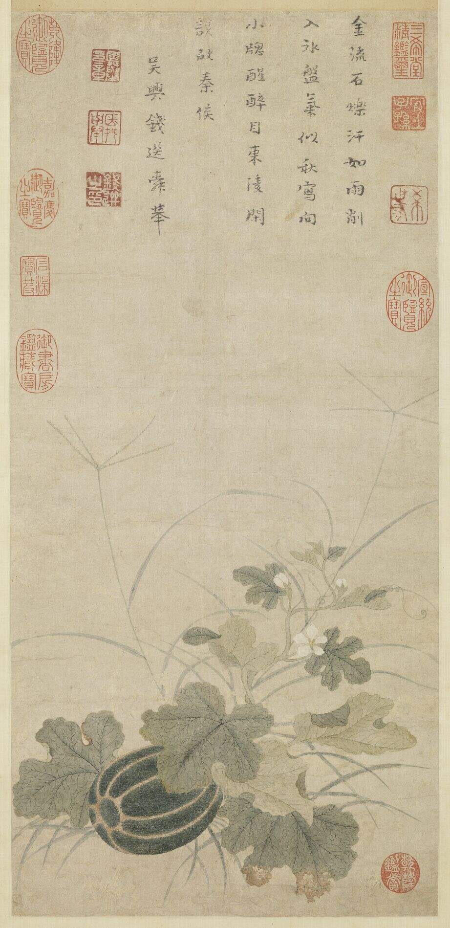 秋瓜图缩略图