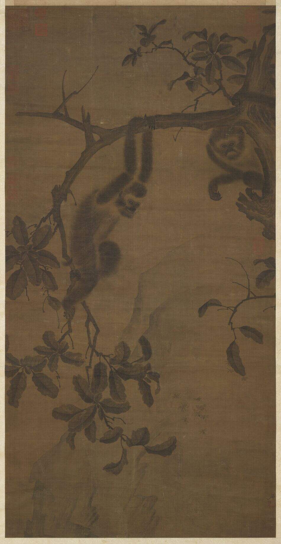 猿图缩略图