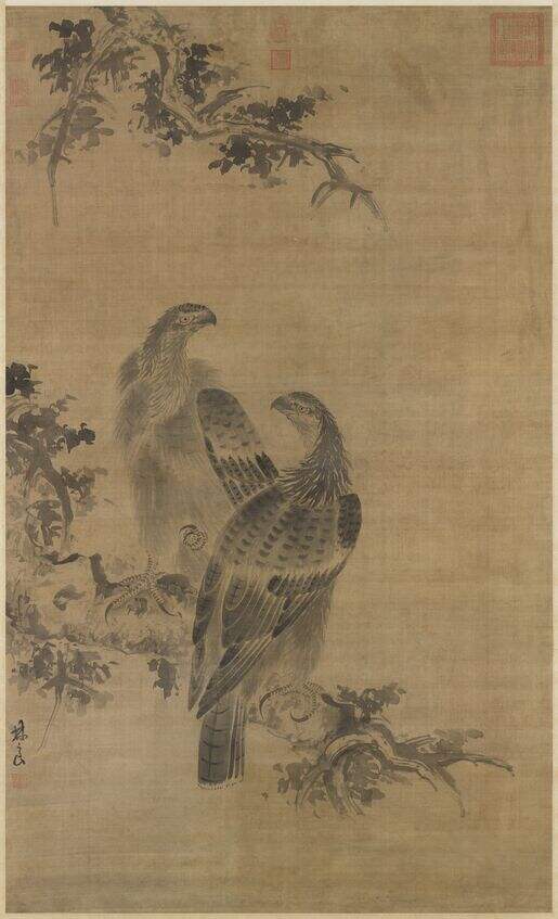 鹰图缩略图
