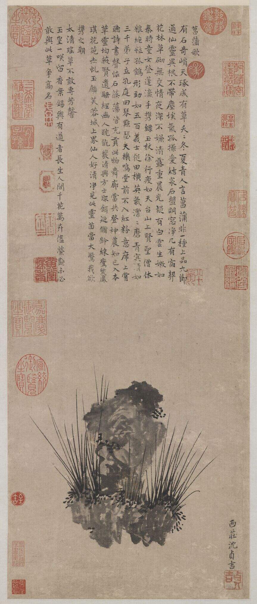 菖蒲图缩略图
