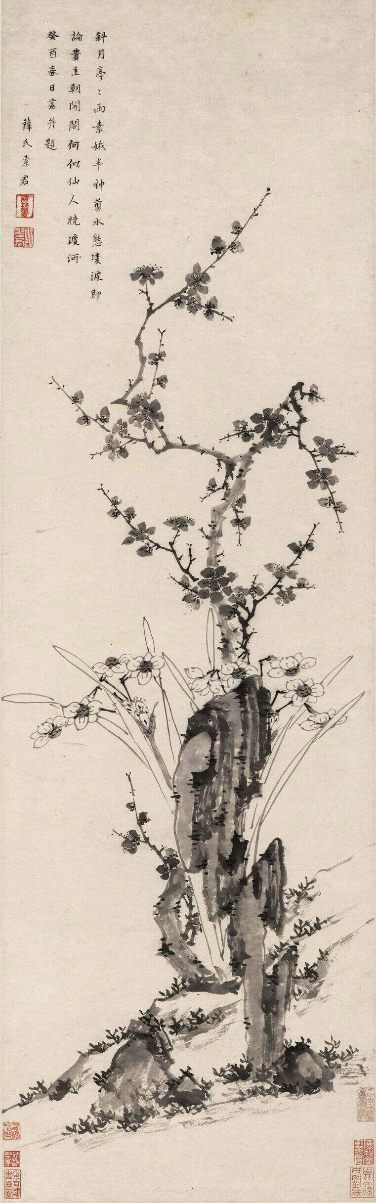 梅花水仙图缩略图