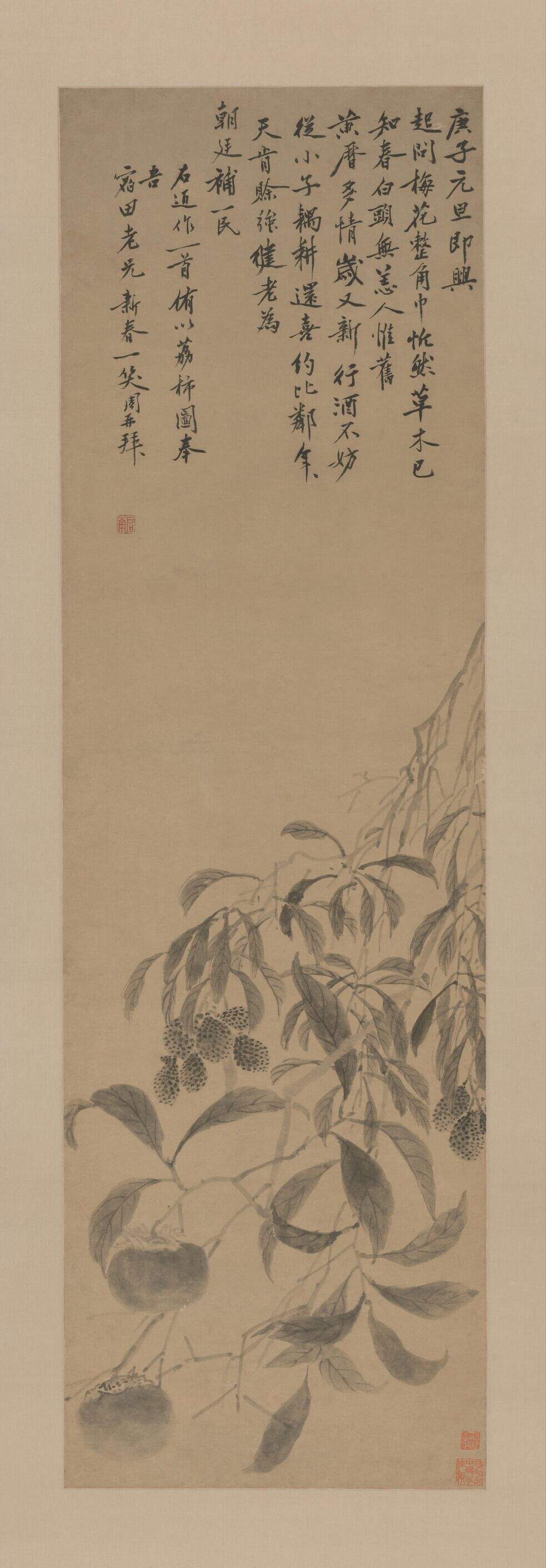 荔柿图缩略图